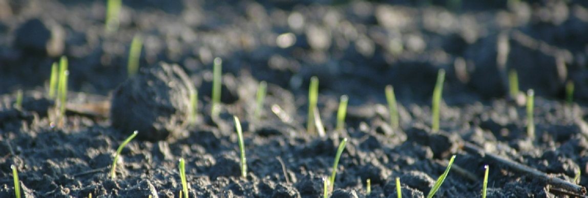 elite-gb-environmental-services-land-restoration